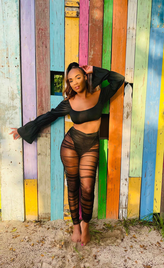 Long-sleeve Crop Top and Mesh Pants Set